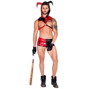 NEW Men's Nobody's Fool Jester Costume SZ Large Halloween Role Play Dye Transfer